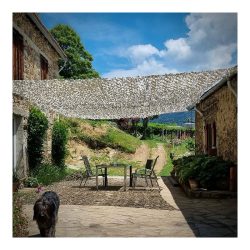 Filet feuillage camouflage avec cordage 6m x 1,8m