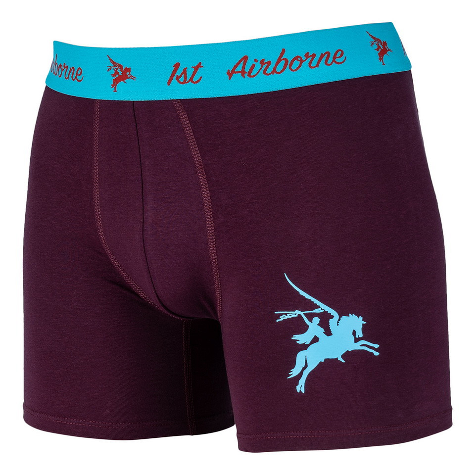 Boxer Pegasus Airborne