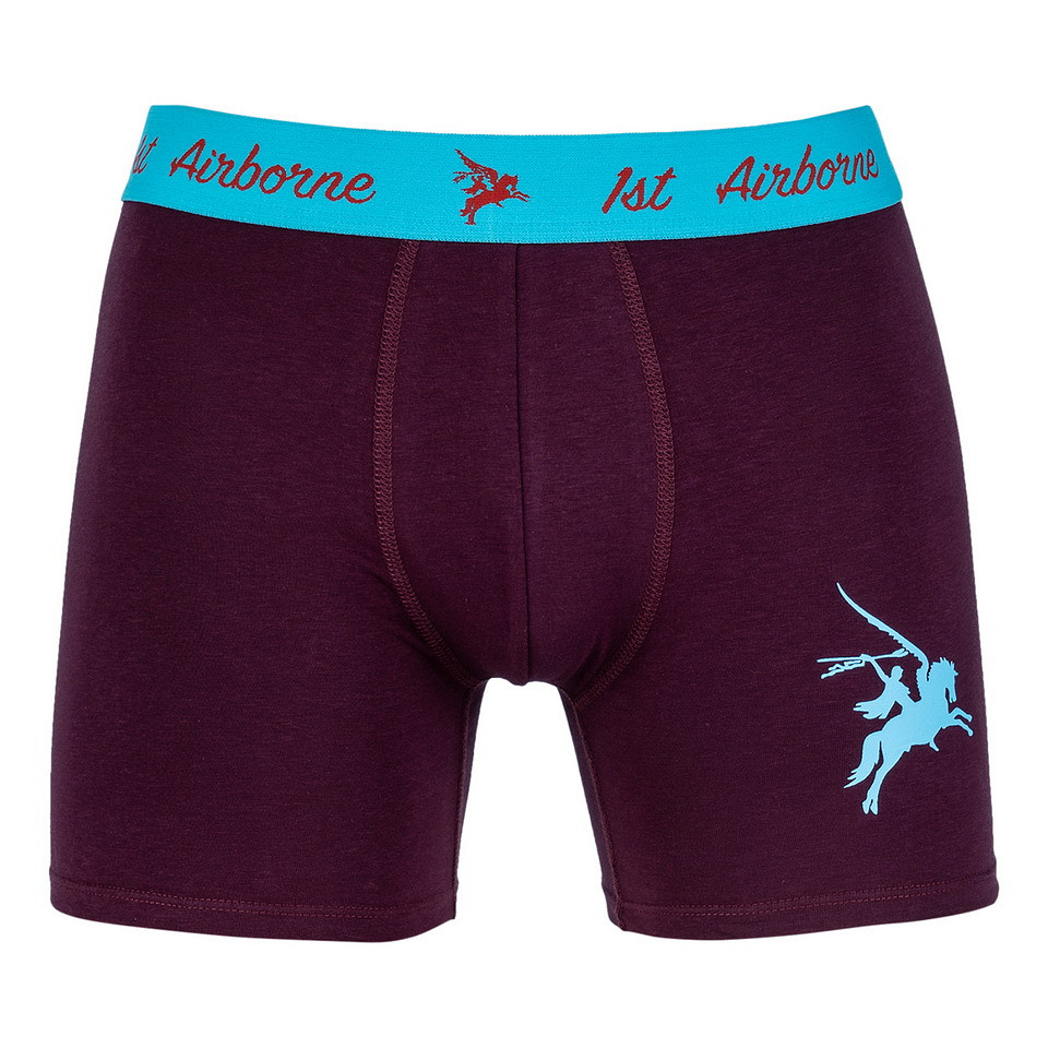 Boxer Pegasus Airborne – Image 4