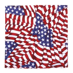 Bandana Drapeaux USA